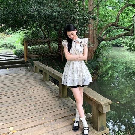 FA37921# 新中式绝美清新小众连衣裙女夏季新款复古小个子修身显瘦短裙 服裝批發女裝批發服飾貨源