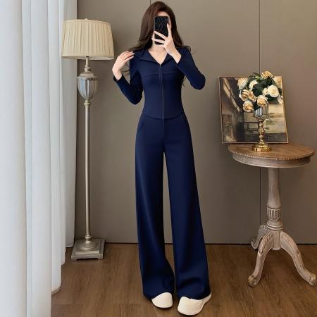 欧货高级感休闲运动套装女春秋季新款时尚洋气显瘦卫衣两件套 服裝批發女裝批發服飾貨源
