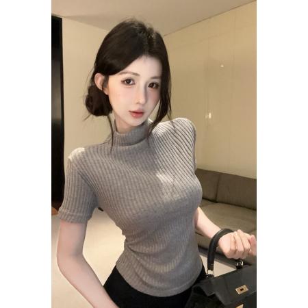 FA44019# 秋季新款高领百搭气质纯色弹力打底韩版修身T  服裝批發女裝批發服飾貨源