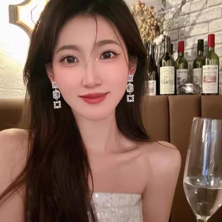 CX13577# 最便宜饰品批发 韩系爆款超闪水钻几何形耳环女轻奢小众高级感耳钉网红耳饰品批发