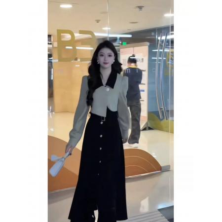 FA45436# 法式气质假两件连衣裙女秋季新款高级感独特别致显瘦收腰长裙 服裝批發女裝批發服飾貨源