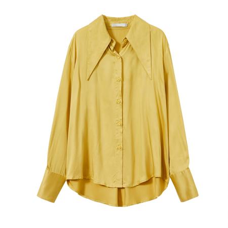 FA46835# 秋季新款两件套法式高级感衬衣女垂顺别致小众上衣白衬衫 服裝批發女裝批發服飾貨源