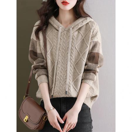 FA47085# 新款春秋冬连帽针织衫卫衣女高级感气质宽松显瘦外穿带帽毛衣 服裝批發女裝批發服飾貨源