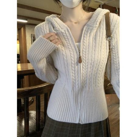 FA47613# 安迪绒麻花连帽加厚拉链毛衣开衫外套女早春高级感软糯针织衫上衣  服裝批發女裝批發服飾貨源