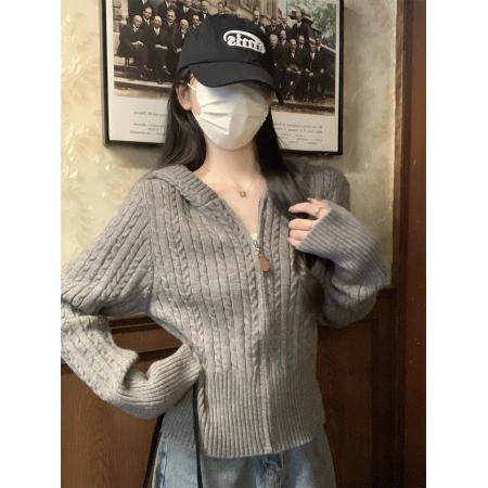 FA47613# 安迪绒麻花连帽加厚拉链毛衣开衫外套女早春高级感软糯针织衫上衣  服裝批發女裝批發服飾貨源