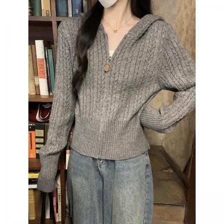 FA47613# 安迪绒麻花连帽加厚拉链毛衣开衫外套女早春高级感软糯针织衫上衣  服裝批發女裝批發服飾貨源