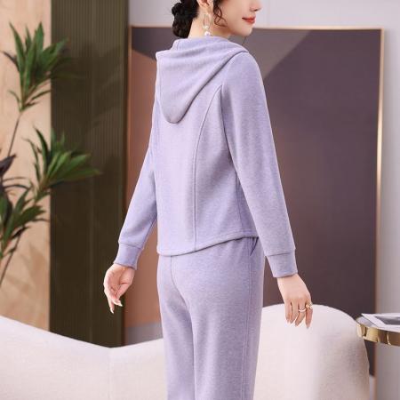 FA47902# 洋气休闲服两件套秋季新款开衫连帽卫衣显瘦运动套装女潮 服裝批發女裝批發服飾貨源