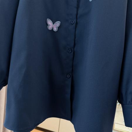 FA48197# 跨境专供早春秋新款法式洋气重工立体蝴蝶刺绣宽松长袖衬衫女 服裝批發女裝批發服飾貨源