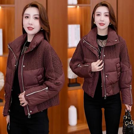 FA48989# 加厚短款棉服女冬新款小个子高端时尚洋气立领面包服外套 服裝批發女裝批發服飾貨源