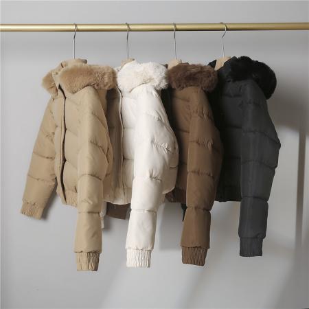 FA49906# 羽绒棉服女短款韩版新款大毛领棉袄宽松加厚纯色棉衣外套 服裝批發女裝批發服飾貨源