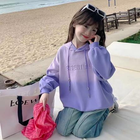 FA49998# 女童卫衣春秋款新款洋气儿童秋装网红时髦小女孩连帽上衣童装 童装批发宝宝服饰批发