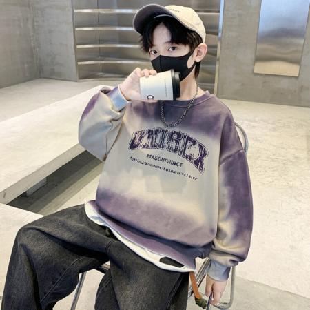 男童卫衣春秋款新款儿童秋装上衣中大童装男孩秋季长袖打底衫 童装批发宝宝服饰批发