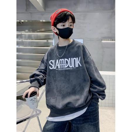 儿童装男童秋装卫衣春秋款新款秋冬款中大童男孩秋季加绒上衣 童装批发宝宝服饰批发