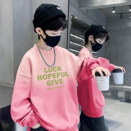 男童卫衣春秋款新款儿童秋装中大童炸街韩版上衣帅洋气休闲潮 童装批发宝宝服饰批发