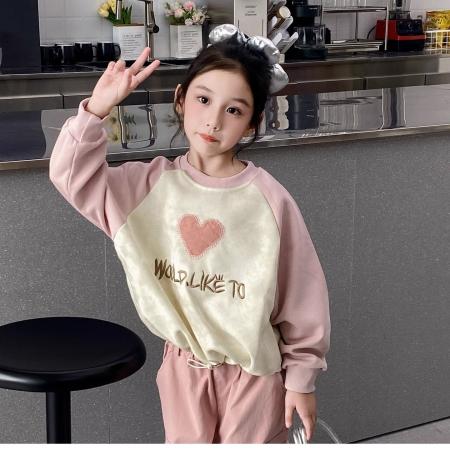 女童卫衣秋冬款洋气中大童休闲宽松上衣小女孩加厚保暖打底衫 童装批发宝宝服饰批发