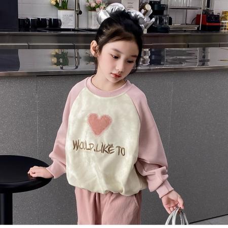 女童卫衣秋冬款洋气中大童休闲宽松上衣小女孩加厚保暖打底衫 童装批发宝宝服饰批发