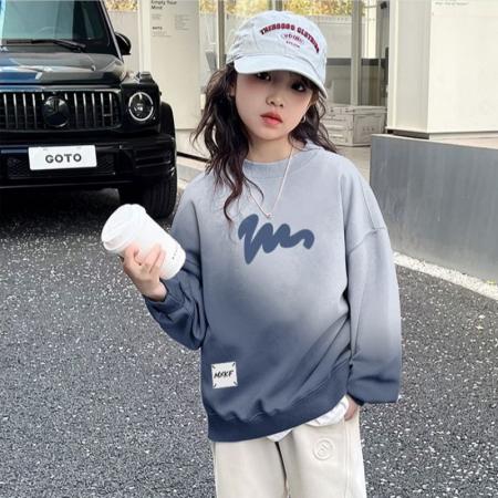 女童卫衣春秋款新款儿童圆领上衣炸街秋装大童初中生时髦衣服 童装批发宝宝服饰批发