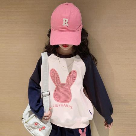 女童卫衣秋冬款新款儿童圆领上衣炸街秋装大童初中生时髦衣服 童装批发宝宝服饰批发