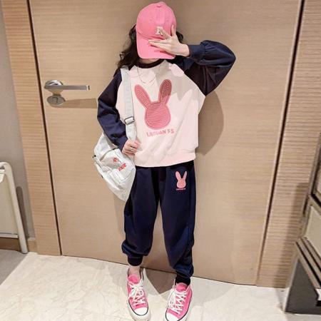 女童卫衣秋冬款新款儿童圆领上衣炸街秋装大童初中生时髦衣服 童装批发宝宝服饰批发