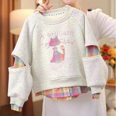 女童秋冬装卫衣新款女童卡通刺绣加绒加厚款上衣一体绒打底衫 童装批发宝宝服饰批发