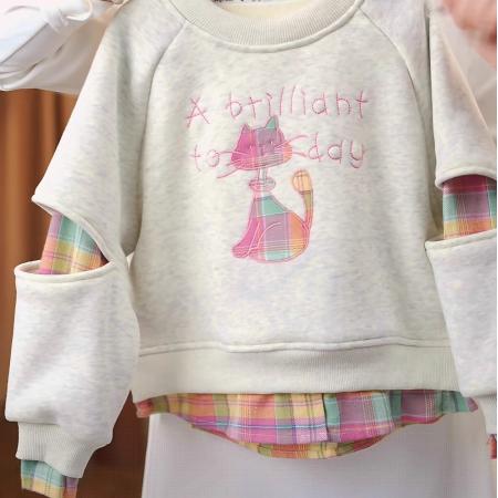 女童秋冬装卫衣新款女童卡通刺绣加绒加厚款上衣一体绒打底衫 童装批发宝宝服饰批发