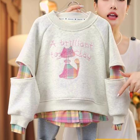 女童秋冬装卫衣新款女童卡通刺绣加绒加厚款上衣一体绒打底衫 童装批发宝宝服饰批发