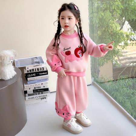 女小童休闲套装加绒款洋气女宝宝加厚卫衣秋冬装小女孩卡通两件套 童装批发宝宝服饰批发