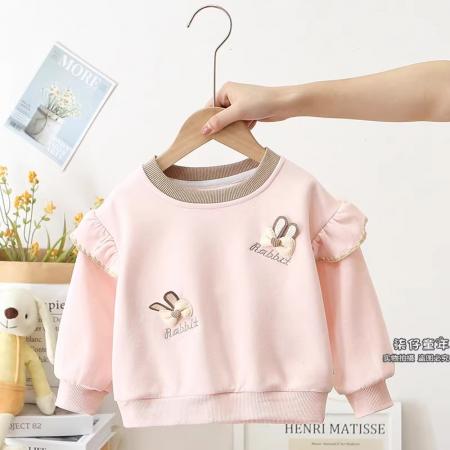 女童纯棉卫衣春秋季新款女宝宝冬季款一体加绒上衣婴儿童秋装 童装批发宝宝服饰批发