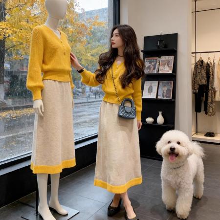 FA50816# 氛围感减龄时尚套装女秋冬新款高级感法式针织半身裙两件套女 服裝批發女裝批發服飾貨源