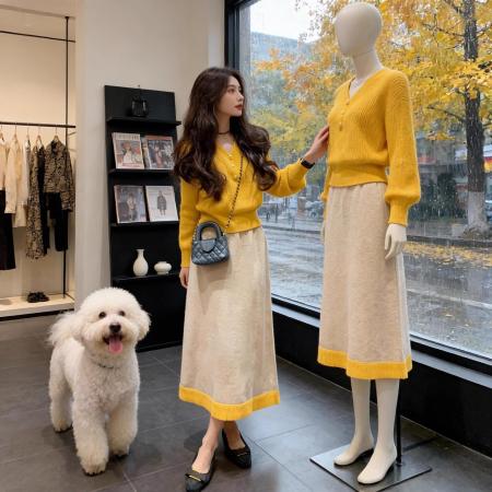 FA50816# 氛围感减龄时尚套装女秋冬新款高级感法式针织半身裙两件套女 服裝批發女裝批發服飾貨源