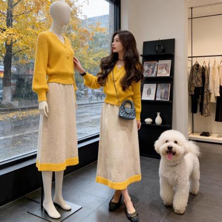 FA50816# 氛围感减龄时尚套装女秋冬新款高级感法式针织半身裙两件套女 服裝批發女裝批發服飾貨源