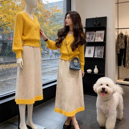 FA50816# 氛围感减龄时尚套装女秋冬新款高级感法式针织半身裙两件套女 服裝批發女裝批發服飾貨源