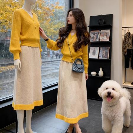 FA50816# 氛围感减龄时尚套装女秋冬新款高级感法式针织半身裙两件套女 服裝批發女裝批發服飾貨源