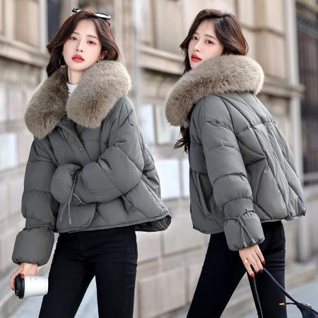 FA51011# 大翻领短款羽绒棉服女冬季新款洋气棉袄时尚女装大毛领棉衣外套   服裝批發女裝批發服飾貨源