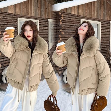 大毛领棉衣女短款年新款秋冬小个子棉服外套加厚棉袄女装面包   服裝批發女裝批發服飾貨源