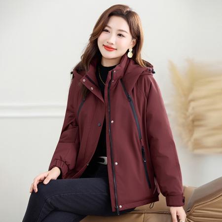 FA52236# 新品时尚冲锋石墨希棉服服女款冬季新款爆款洋气减龄保暖连帽外套 服裝批發女裝批發服飾貨源