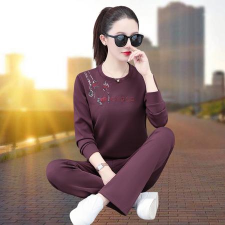 FA52272# BS新款绣花圆领卫衣运动套装女春秋新款洋气减龄休闲两件套 服裝批發女裝批發服飾貨源