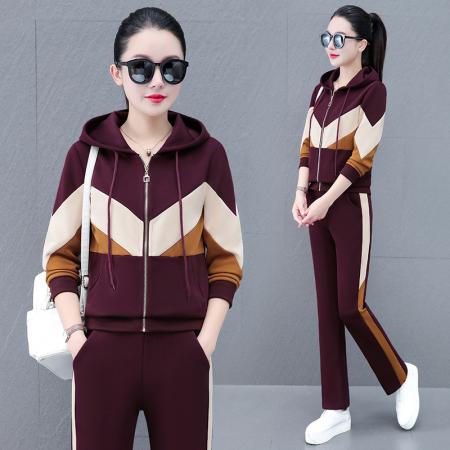 FA52301# 新款春秋新款时尚休闲运动套装简约连帽开衫女款两件套 服裝批發女裝批發服飾貨源