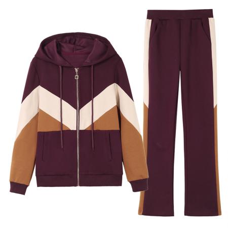 FA52301# 新款春秋新款时尚休闲运动套装简约连帽开衫女款两件套 服裝批發女裝批發服飾貨源