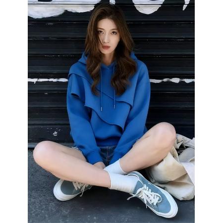 FA52702# 秋新款时尚气质高级感百搭显瘦宽松上衣女休闲连帽长袖卫衣  服裝批發女裝批發服飾貨源