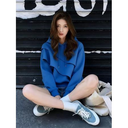 FA52702# 秋新款时尚气质高级感百搭显瘦宽松上衣女休闲连帽长袖卫衣  服裝批發女裝批發服飾貨源