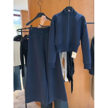 FA52703# 超火穿搭一整套女秋蓝色半高领运动卫衣外套休闲阔腿裤两件套  服裝批發女裝批發服飾貨源