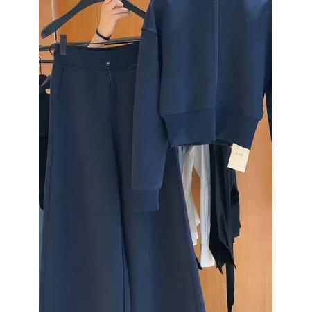 FA52703# 超火穿搭一整套女秋蓝色半高领运动卫衣外套休闲阔腿裤两件套  服裝批發女裝批發服飾貨源