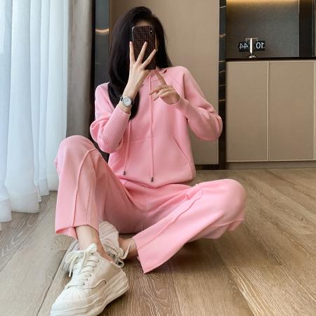 FA52826# 秋冬新款韩版简约风连帽衫套头卫衣时尚宽松打底两件套  服裝批發女裝批發服飾貨源