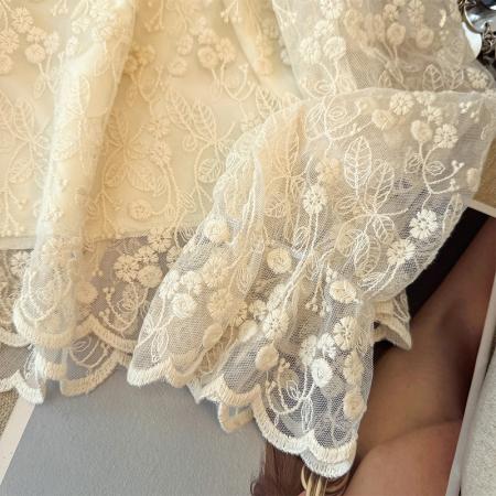 FA52998# 韩系蕾丝翻领刺绣加绒打底衬衫女新款秋日穿搭巨好看的上衣  服裝批發女裝批發服飾貨源