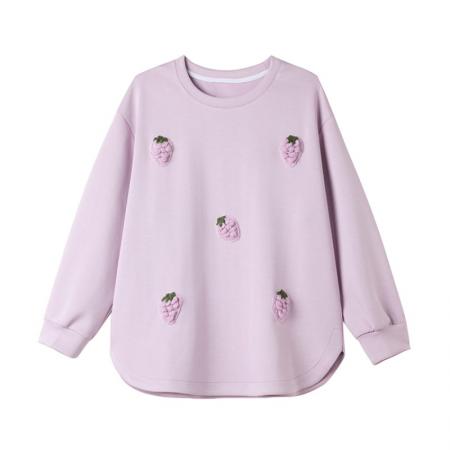 FA53517# 时尚圆领绣花长袖卫衣女秋冬新款宽松上衣大码欧货女装