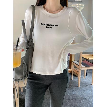 FA53551# 羊绒抓毛长袖t恤打底衫女刺绣薄款春秋新款圆领上衣