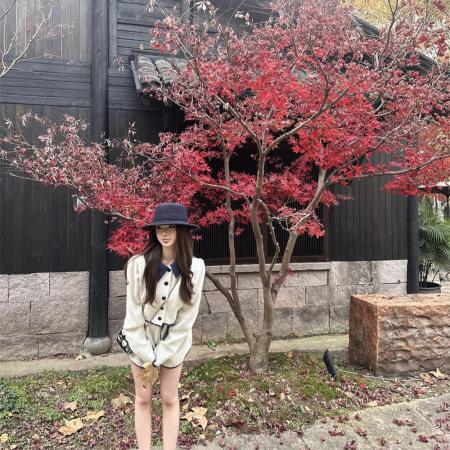 FA53693# 冬装套装女新款撞色拼接翻领开衫外套高腰显瘦短裤两件套