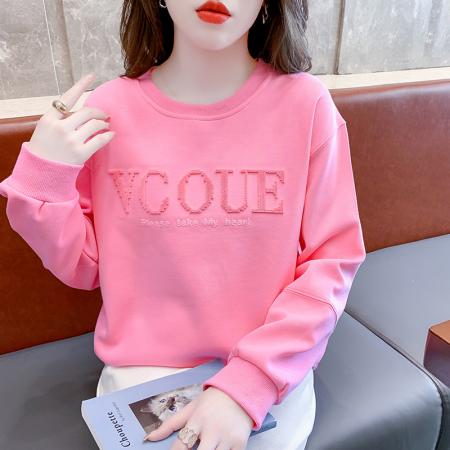 FA54527# 秋季牙刷绣圆领卫衣女设计感宽松韩版字母绣花上衣  服裝批發女裝批發服飾貨源