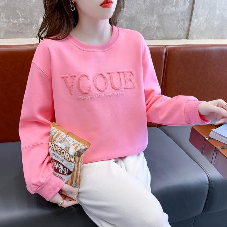 FA54527# 秋季牙刷绣圆领卫衣女设计感宽松韩版字母绣花上衣  服裝批發女裝批發服飾貨源